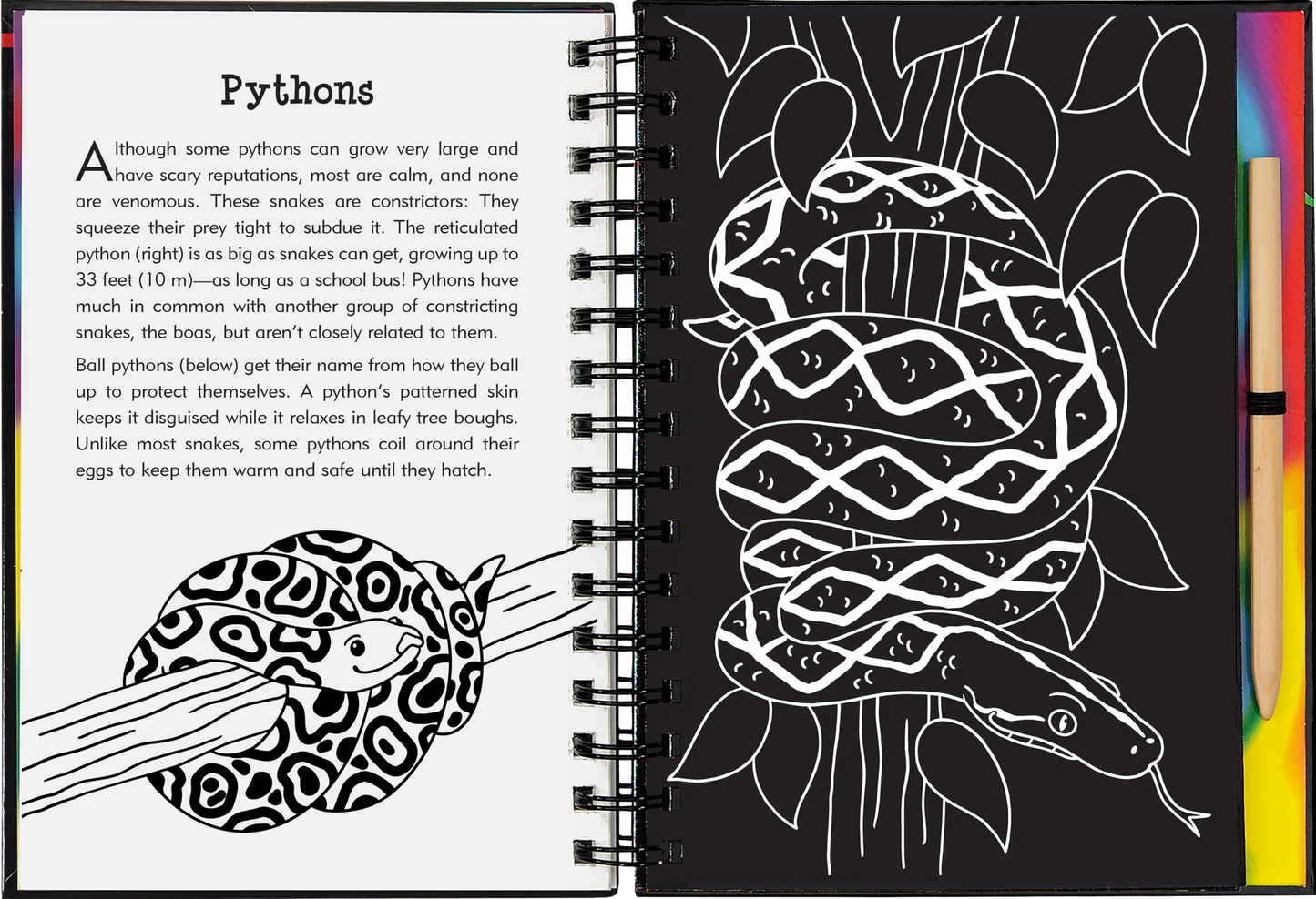 Peter Pauper Scratch & Sketch  - Reptiles and Amphibians