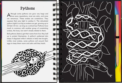 Peter Pauper Scratch & Sketch  - Reptiles and Amphibians