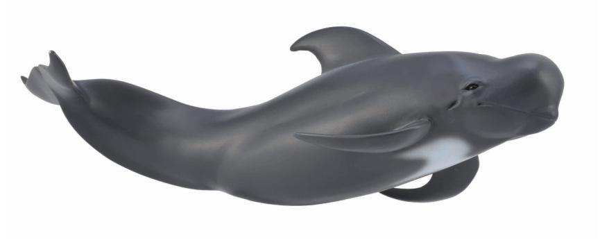 CollectA - Pilot Whale - Timbertime Toys