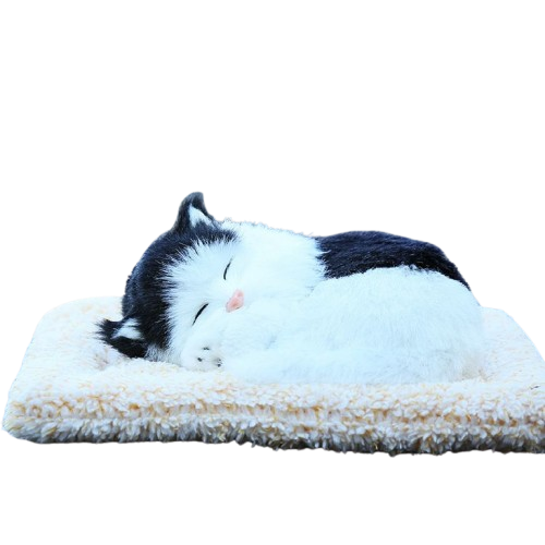 Sleepy Tails - Black and White Cat - Sleeping