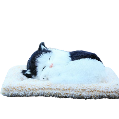 Sleepy Tails - Black and White Cat - Sleeping