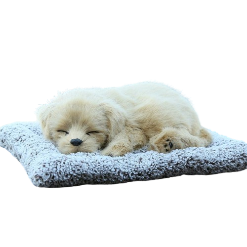 Sleepy Tails - Golden Retriever - Sleeping