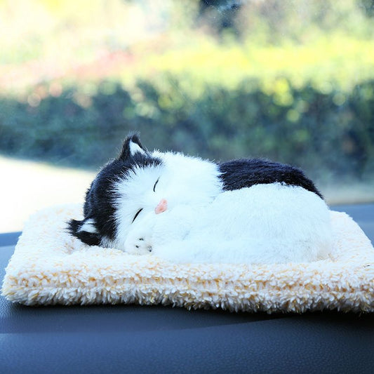 Sleepy Tails - Black and White Cat - Sleeping