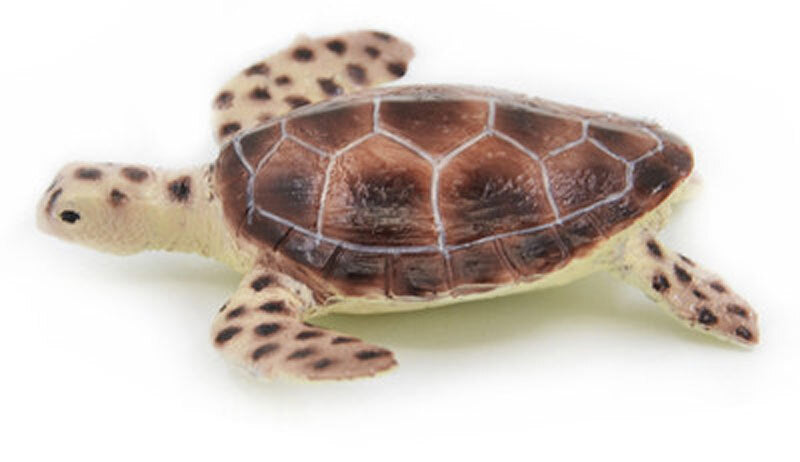 Animals of Australia Figurine - Green Turtle