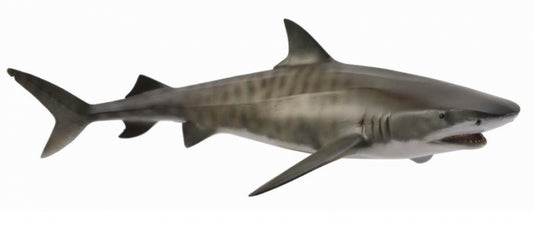 CollectA - Tiger Shark - Timbertime Toys